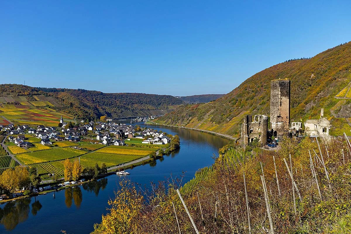 Moselschleife mit Burg und Weinbergen