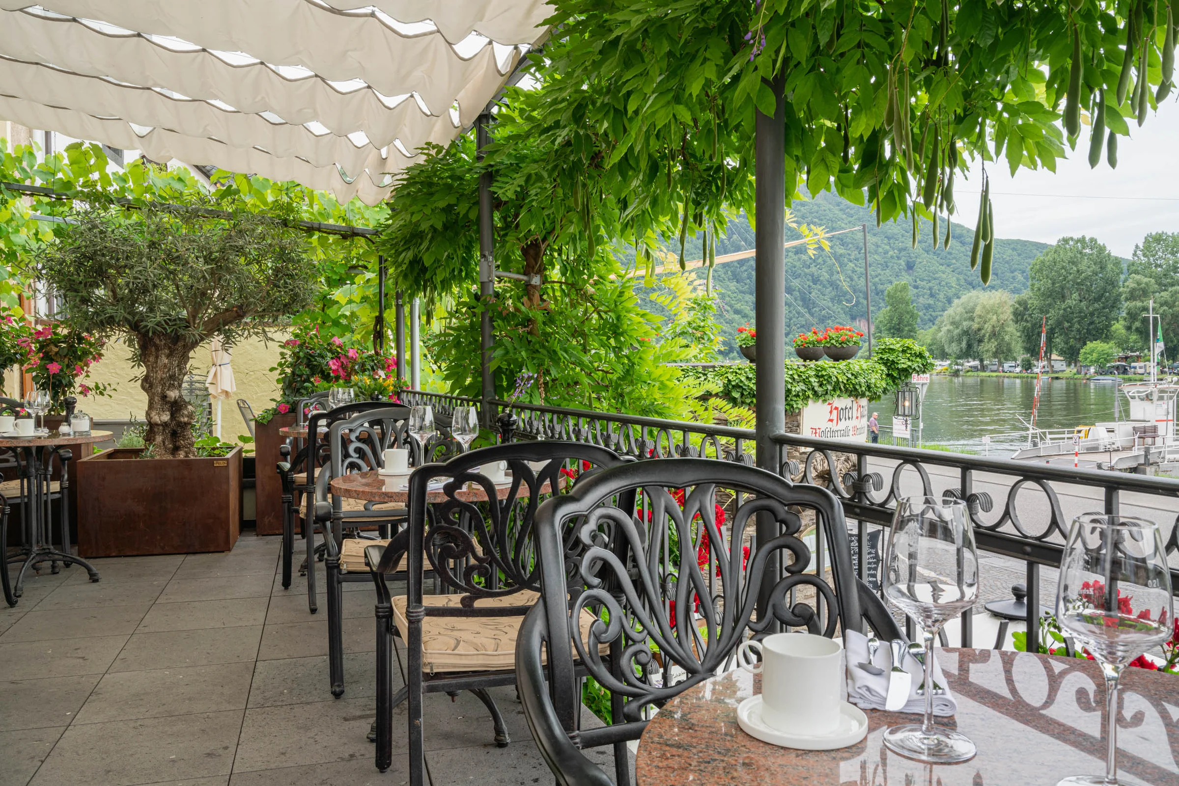 Terrasse unter grünem Blätterdach direkt an der Mosel