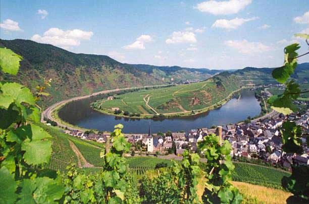 Wandern in den Weinbergen an der Mosel